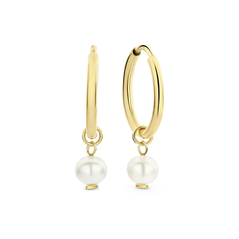 Delia Crest - Gold Earrings