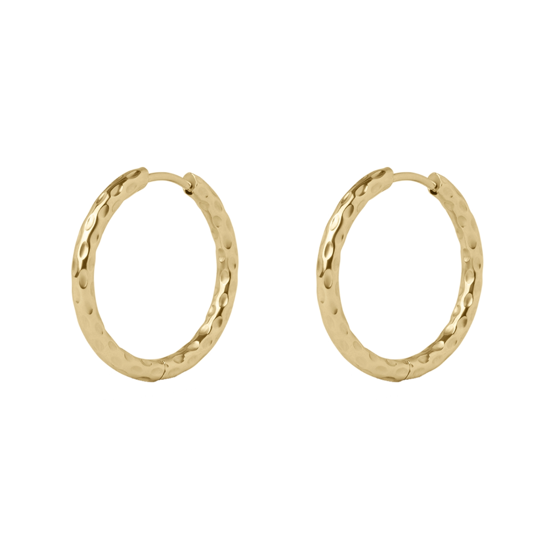 Rise Earrings