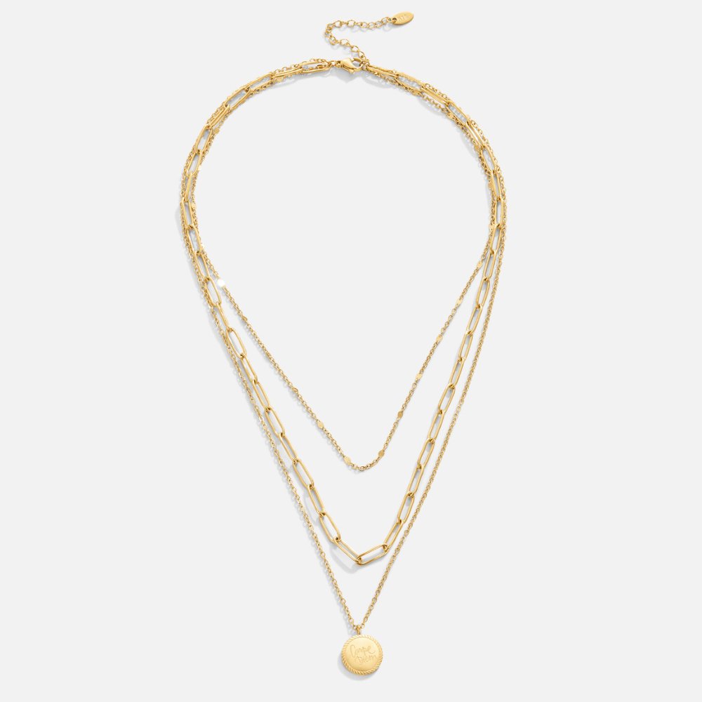 Coin Motif Necklace