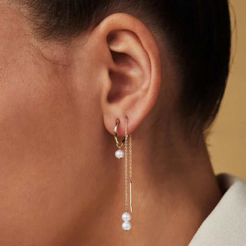 Delia Crest - Gold Earrings
